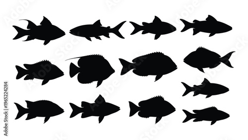 Collection of black fish silhouettes on white background