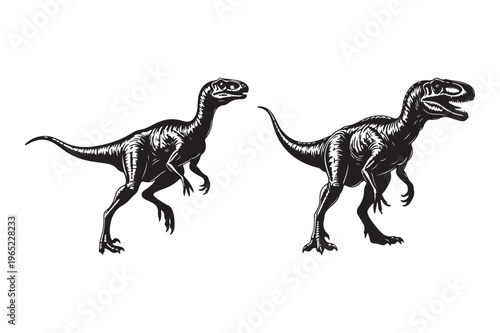 Two dinosaurs silhouette illustration