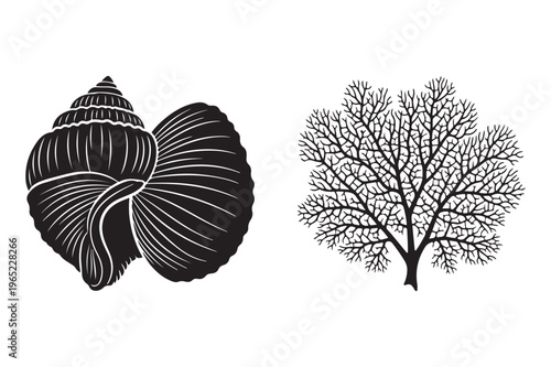 Seashell and coral branch silhouette illustration with marine life