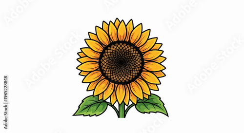 Vibrant sunflower with yellow petals, dark center, and green leaves on white