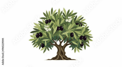 A stylized illustration of an ancient olive tree bearing ripe black olives and white blossoms
