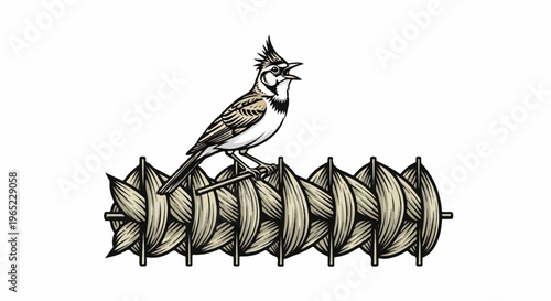 A crested bird sings perched on a woven structure of leaves