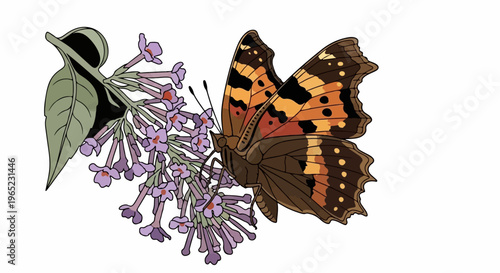Detailed illustration of a brown butterfly feeding on a cluster of lilac flowers