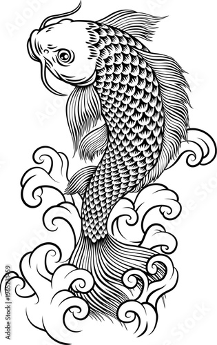 A koi carp coy fish. An original illustration in a vintage Japanese woodcut art style.