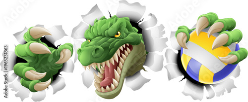 An alligator, crocodile or dinosaur volleyball animal sports mascot holding a volley ball in his claw