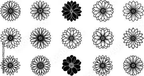 Black and white flower in rows flowers line floral symbols shapes