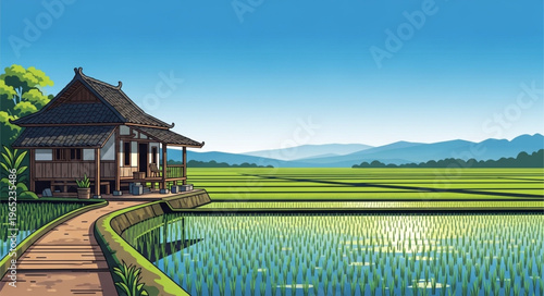 rice terraces in bali