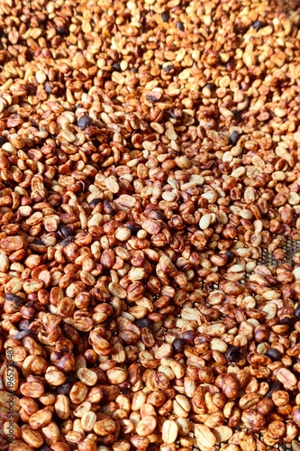 Close up of coffee beans drying in the sun