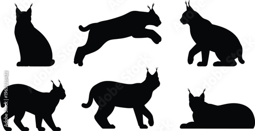 Lynx wild cat silhouette set showing jumping, sitting, walking and resting poses, wildlife predator animal collection isolated on white background
