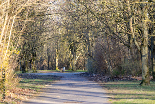 Outdoor concrete footpath in park through trees on a sunny day, perspective view.