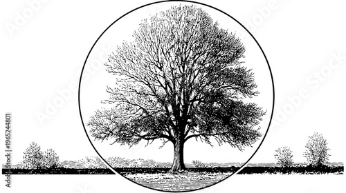 Etched tree dominates landscape inside circle. Black and white detailed image