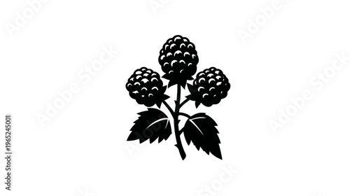 Black silhouette of three blackberries on stems with leaves, isolated