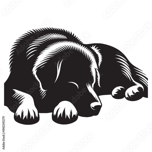 Uzbek Shepherd Dog strong guardian breed, loyal protector, Central Asian heritage, powerful working dog, brave livestock defender, intelligent, fearless, family guardian, large muscular build.