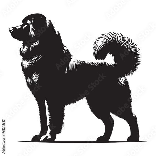 Uzbek Shepherd Dog strong guardian breed, loyal protector, Central Asian heritage, powerful working dog, brave livestock defender, intelligent, fearless, family guardian, large muscular build.