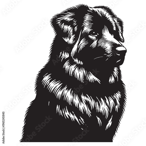 Uzbek Shepherd Dog strong guardian breed, loyal protector, Central Asian heritage, powerful working dog, brave livestock defender, intelligent, fearless, family guardian, large muscular build.