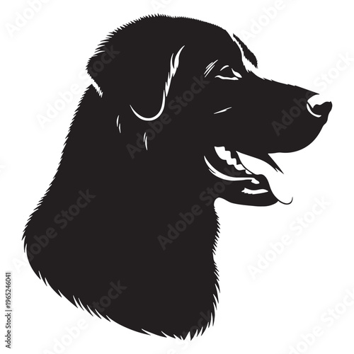 Uzbek Shepherd Dog strong guardian breed, loyal protector, Central Asian heritage, powerful working dog, brave livestock defender, intelligent, fearless, family guardian, large muscular build.