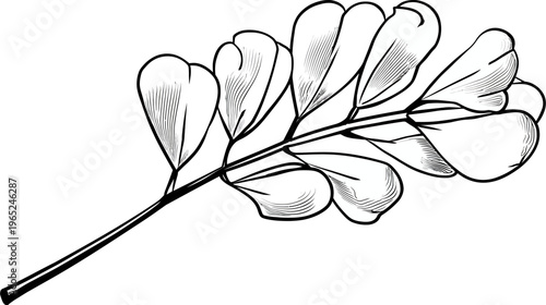 Black and white drawing of a twig with spade-shaped leaves, facing the right side