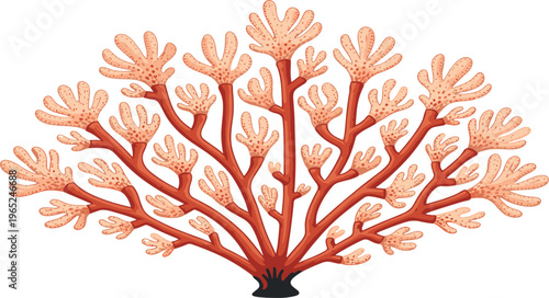 Sea Coral Reef Marine Life Illustration with Branching Coral Structure Ocean Ecosystem Element for Marine Biology Education Underwater Nature Vector Design