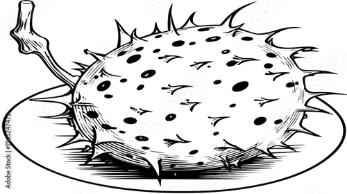 Thorny fruit on plate, black and white illustration, detailed hatching and shading