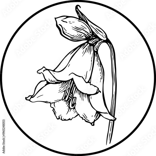 A sketch of a flower drooping inside a bold black circle, isolated on white