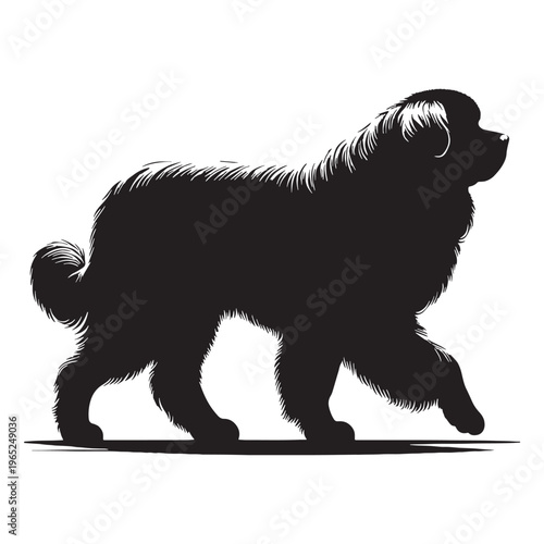 Pyrenean Mastiff giant guardian dog, gentle giant, loyal protector, Spanish mountain breed, livestock guardian, calm temperament, powerful build, family companion, brave watchdog, thick coat.