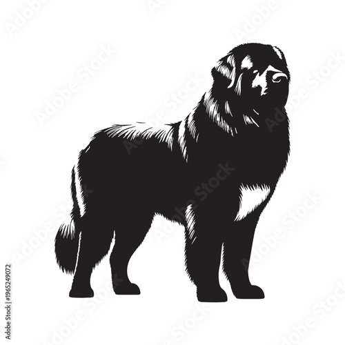 Pyrenean Mastiff giant guardian dog, gentle giant, loyal protector, Spanish mountain breed, livestock guardian, calm temperament, powerful build, family companion, brave watchdog, thick coat.