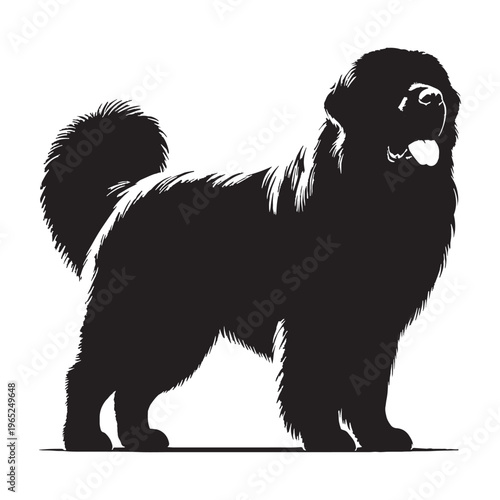 Pyrenean Mastiff giant guardian dog, gentle giant, loyal protector, Spanish mountain breed, livestock guardian, calm temperament, powerful build, family companion, brave watchdog, thick coat.