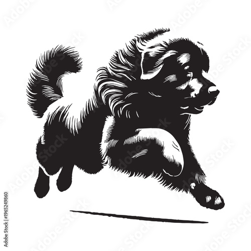 Pyrenean Mastiff giant guardian dog, gentle giant, loyal protector, Spanish mountain breed, livestock guardian, calm temperament, powerful build, family companion, brave watchdog, thick coat.