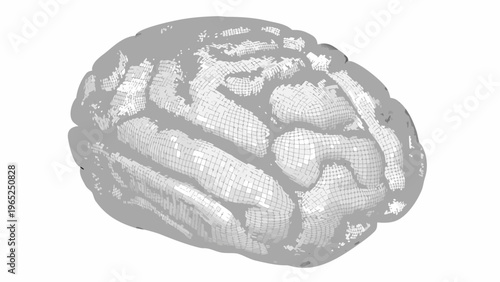 Detailed gray 3d brain model with textured surface mesh pattern and realistic folds on a white background for science and medical concepts