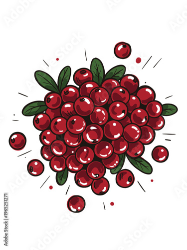 Red cranberry illustration vector style. Hand drawn lingonberry cluster with green leaves. Fresh wild berry harvest. Christmas food design element.