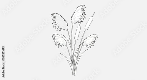 Stylized outline drawing of reed and cattail plants on a gray background
