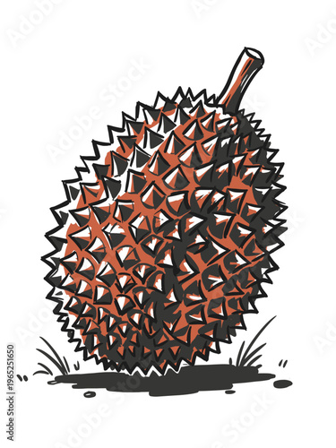 Durian fruit hand drawn illustration. Spiky exotic tropical king of fruits sketch. Isolated Asian food graphic design element.
