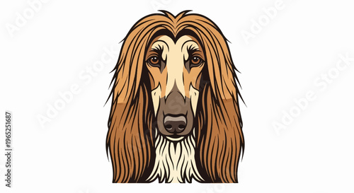 A stylized cartoon illustration of an Afghan Hound's head