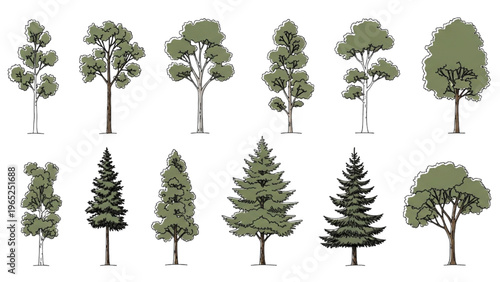 Various trees in vector CAD design style on white background