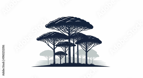 Dark silhouette of acacia trees against a white background