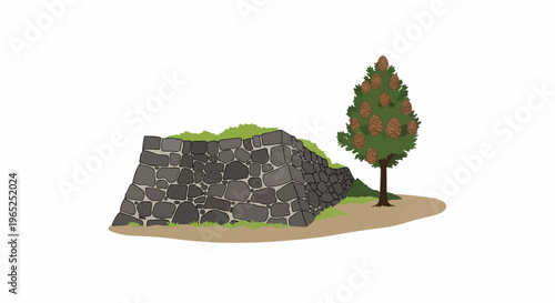 Ancient stone wall with grassy top beside a pine tree laden with cones