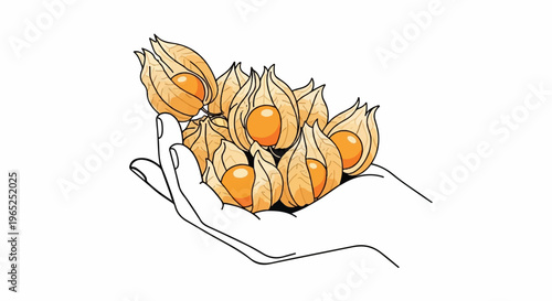 Open hand cradling a cluster of ripe golden berries