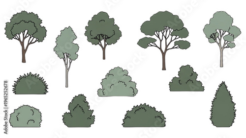 Vector CAD design style illustrations of trees and bushes in landscape