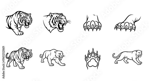 Collection of stylized tiger and paw print illustrations in black and white