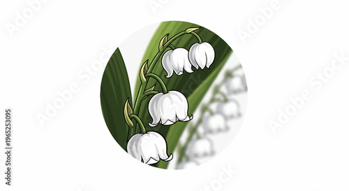 Delicate white bell-shaped flowers with green stems and leaves