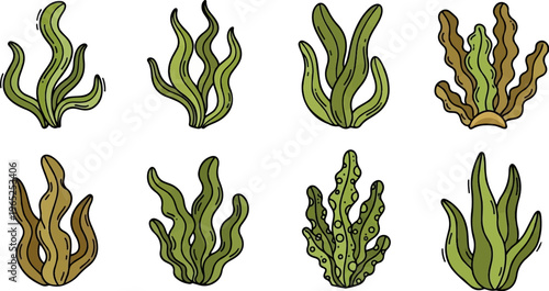 Eight diverse cartoonish undersea plants in green and brown hues