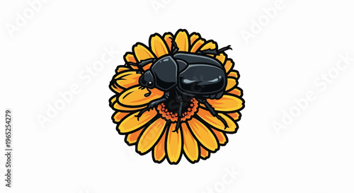 A glossy black beetle rests on an orange daisy with detailed petals
