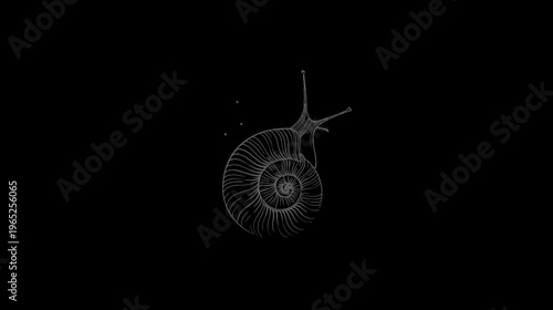 A grayscale illustration of a snail with detailed shell and antennae, on a black background