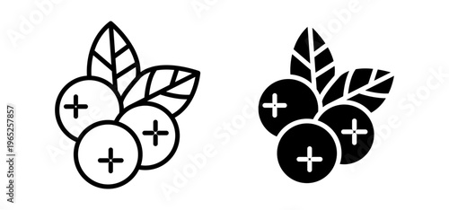 Blueberry icon graphic vector. icon collection