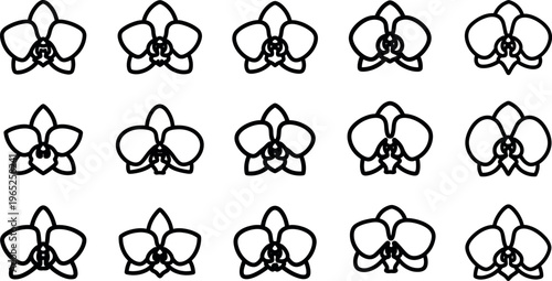 Black outline orchid flowers on white background