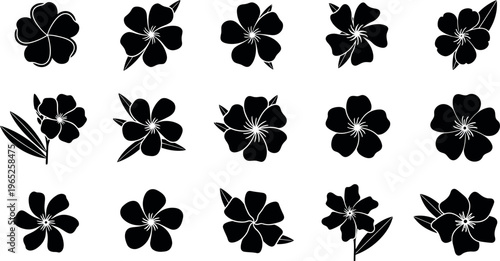 Black silhouette floral with five petals and leaves flower white