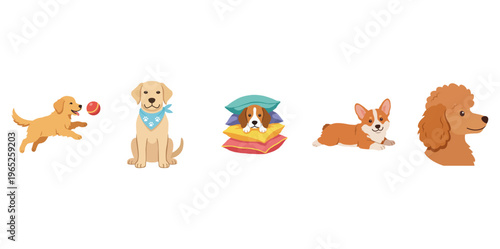 Cute Dog Breeds Collection