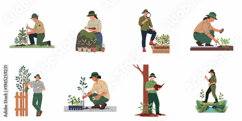 Collection of forestry and conservation illustrations showing park rangers and scientists planting trees, measuring growth, and monitoring environmental health.