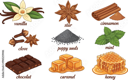 Hand drawn dessert flavor ingredients set featuring vanilla star anise cinnamon clove poppy seeds mint chocolate caramel honey illustration collection for bakery menus