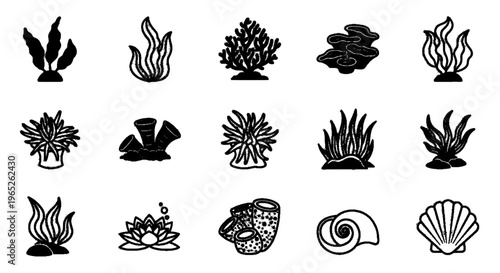 Vector illustration of set of hand drawn sea plants, corals, sponges and seashells on a transparent background